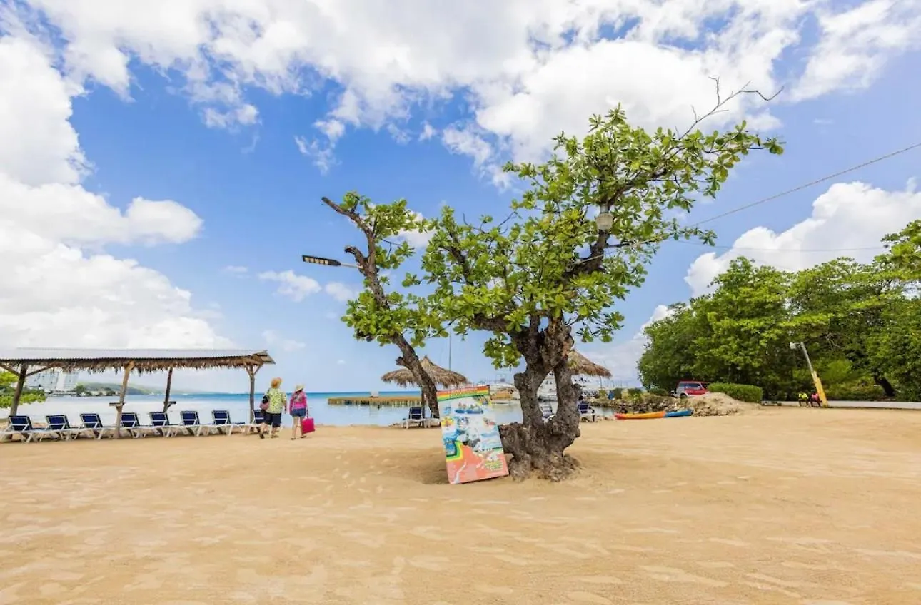 شقة Munzels Ocean View Retreat 2 أوشو ريوس جامايكا